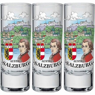 12er Set Schnapsgläser Glas Salzburg Austria Österreich Hoch Farbig 004