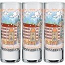 12 er Pack Schnapsglas Goldenes Dachl Bunt WG-003 50ML