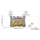 Salzburg Metall Magnet Buch Optik Gold Silber