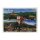 Magnet Reichsburg Cochem und Mosel Panorama mit Stadtwappen